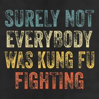 Surely Not Everybody Was Kung Fu Fighting Love martial arts Adult Drive Performance Visor