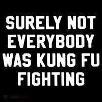 Surely Not Everybody Was Kung Fu Fighting Poster