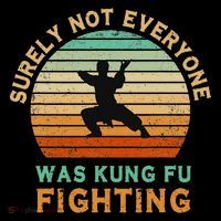Surely Not Everyone Was Kung Fu Fighting Funny Vintage Tall T-Shirt