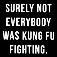 Surely Not Everybody Was Kung Fu Fighting Apron
