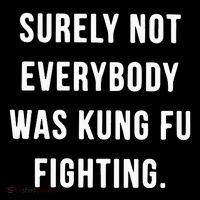 Surely Not Everybody Was Kung Fu Fighting Poster