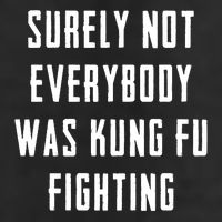 Surely Not Everybody Was Kung Fu Fighting Garment-Dyed Fleece Hoodie