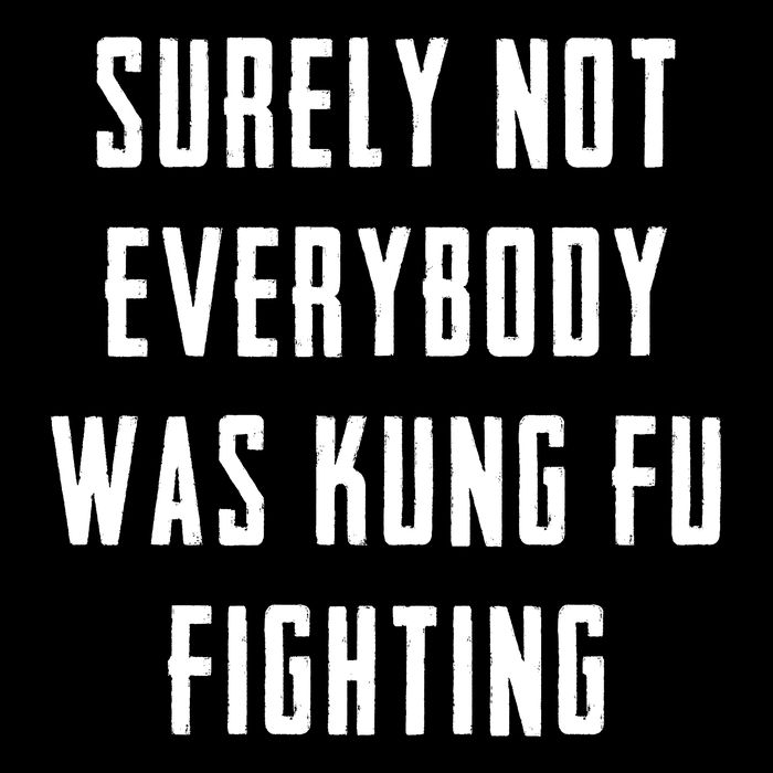 Surely Not Everybody Was Kung Fu Fighting Wool Snapback Cap