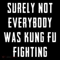 Surely Not Everybody Was Kung Fu Fighting Kids T-Shirt