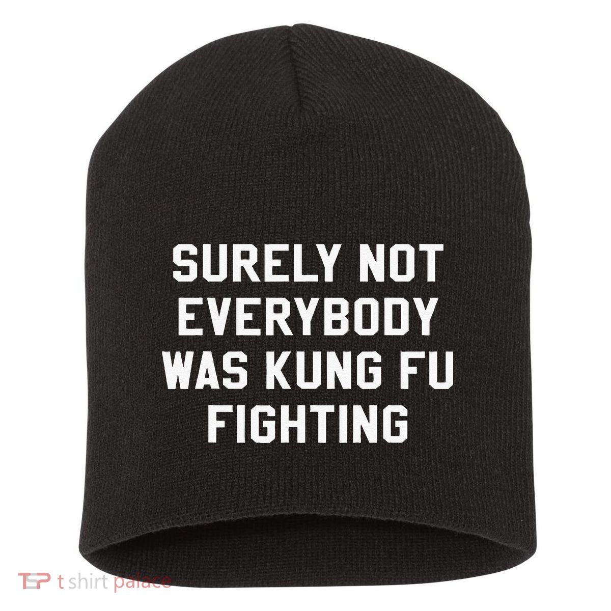 Surely Not Everybody Was Kung Fu Fighting Sarcastic Short Acrylic Beanie