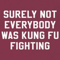 Surely Not Everybody Was Kung Fu Fighting Sarcastic 16oz Travel Tumbler
