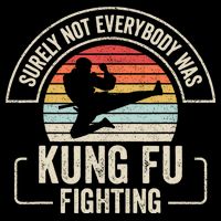 Surely Not Everybody Was Kung Fu Fighting Vintage Performance Shirt