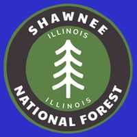 Shawnee National Forest Illinois Il Tree Badge Gift 16 in Basic Backpack