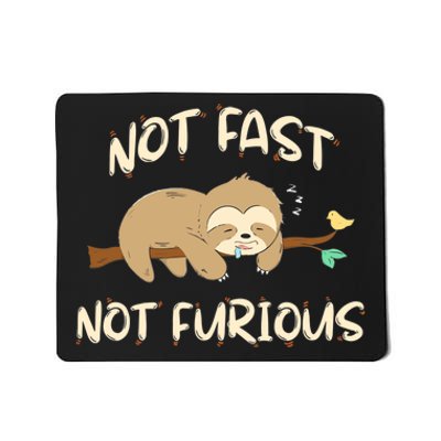 Sloths Not Fast Not Furious Cute Sleeping Sloth Lover Premium Mousepad