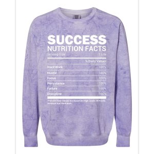 Success Nutrition Facts Funny Entrepreneur Motivation Gift Colorblast Crewneck Sweatshirt