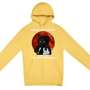 Science Nerdy Humor Chemistry Teacher Cat Feline Lover Meaningful Gift Premium Pullover Hoodie