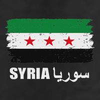 Syria Name In Arabic Syria Flag New Syrian Flag Syria 7 Panel Mesh Trucker Snapback Hat
