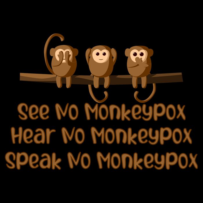 See NO Monkeypox, Hear NO Monkeypox, Speak NO Monkeypox Women's V-Neck T-Shirt