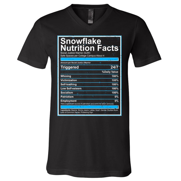 Snowflake Nutrition Facts V-Neck T-Shirt