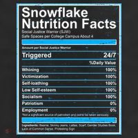 Snowflake Nutrition Facts 11oz C Handle Ceramic Mug