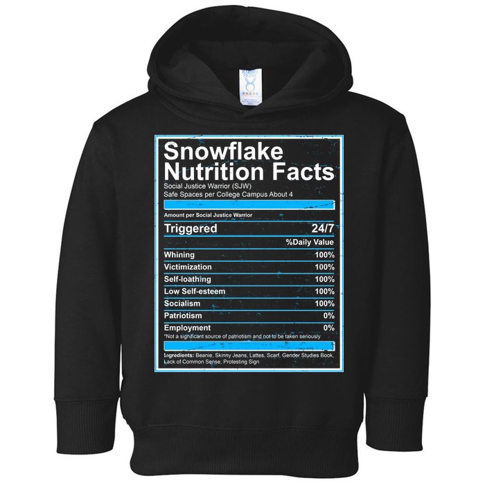 Snowflake Nutrition Facts Toddler Hoodie