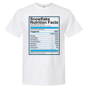 Snowflake Nutrition Facts Garment-Dyed Heavyweight T-Shirt