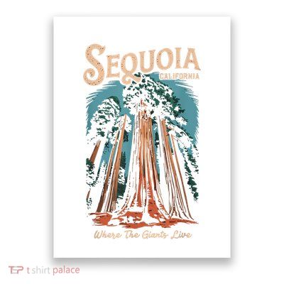 Sequoia National Park California Giant Tree Outdoors Poster