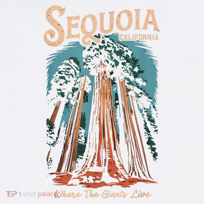 Sequoia National Park California Giant Tree Outdoors Poster