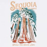 Sequoia National Park California Giant Tree Outdoors Womens Tank Top