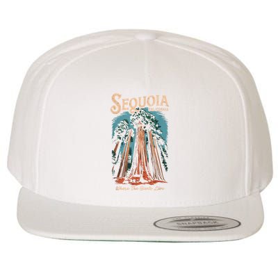 Sequoia National Park California Giant Tree Outdoors Wool Snapback Cap