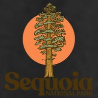 Sequoia National Park General Sher Tree Graphic Cool Gift 11oz C Handle Ceramic Mug