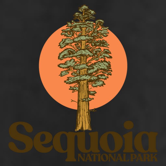 Sequoia National Park General Sher Tree Graphic Cool Gift 11oz C Handle Ceramic Mug