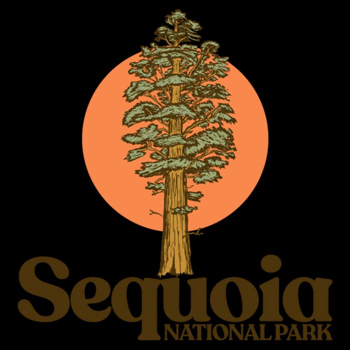 Sequoia National Park General Sher Tree Graphic Cool Gift Flat Bill Trucker Hat