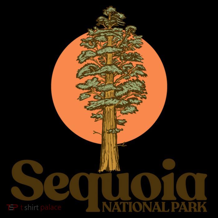 Sequoia National Park General Sher Tree Graphic Cool Gift Youth Performance Sprint T-Shirt