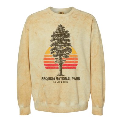 Sequoia National Park Retro Tree Minimalist Graphic Colorblast Crewneck Sweatshirt