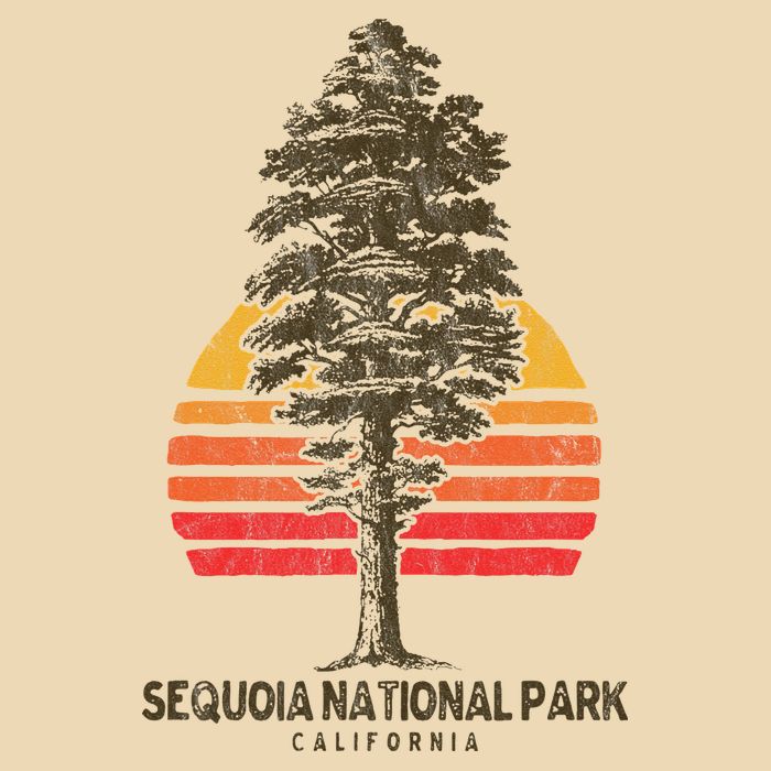 Sequoia National Park Retro Tree Minimalist Graphic Drawstring Bag