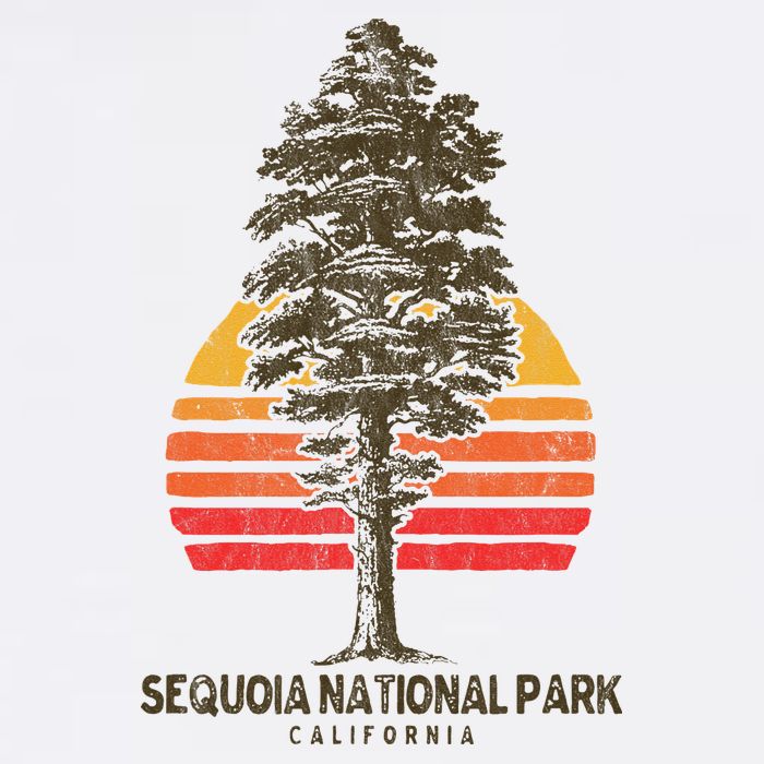 Sequoia National Park Retro Tree Minimalist Graphic Hoodie