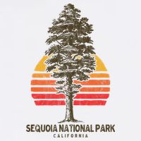 Sequoia National Park Retro Tree Minimalist Graphic Sustainable Bucket Hat