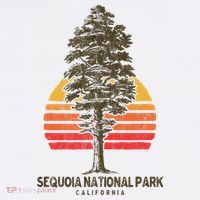 Sequoia National Park Retro Tree Minimalist Graphic Mug