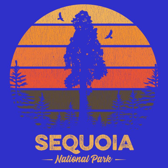 Sequoia National Park Gift Retro Vintage Souvenir Gift Womens Tank Top
