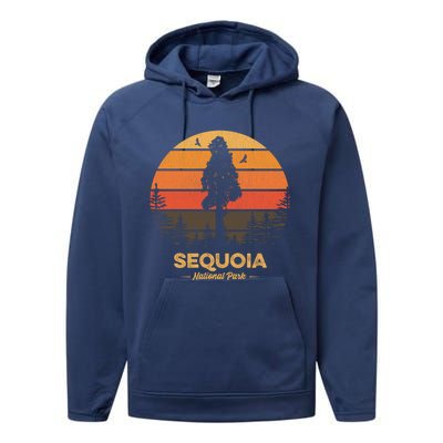 Sequoia National Park Gift Retro Vintage Souvenir Gift Performance Fleece Hoodie