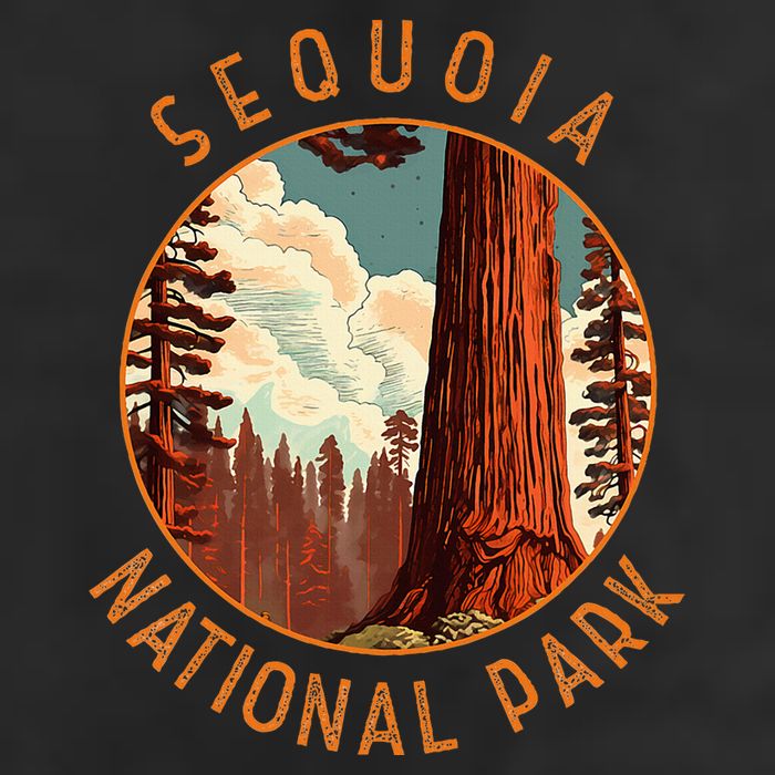 Sequoia National Park Illustration Distressed Circle Adult Drive Performance Visor