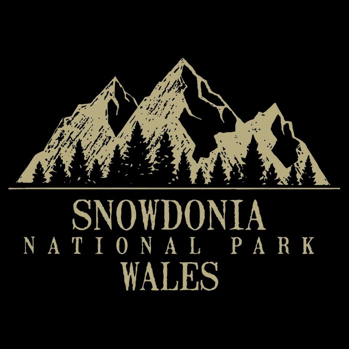 Snowdonia National Park Wales 16 in Basic Backpack