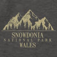 Snowdonia National Park Wales Vector Backpack