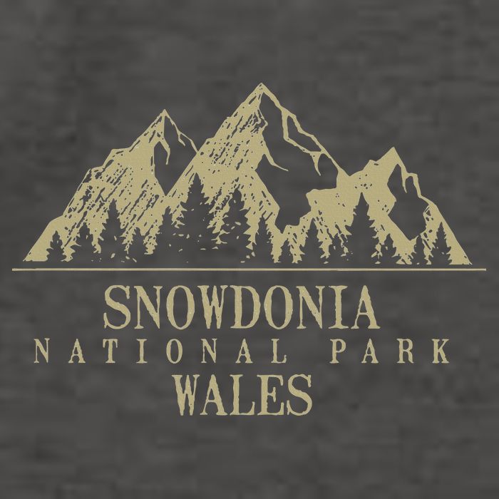 Snowdonia National Park Wales Vector Backpack