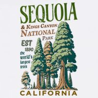 Sequoia National Park Adult Drive Performance Visor
