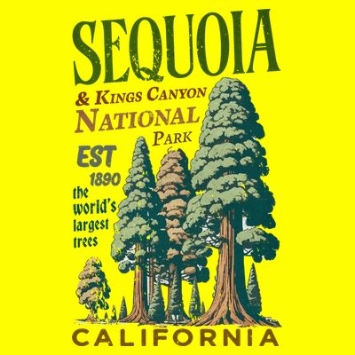 Sequoia National Park T-Shirt