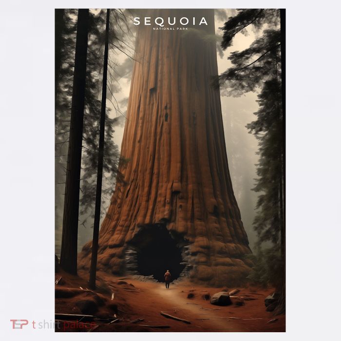 Sequoia National Park Photographic Design Ladies Long Sleeve Shirt