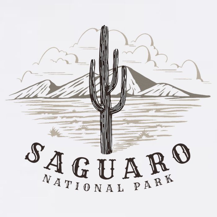 Saguaro National Park Tucson Arizona Cactus Apron