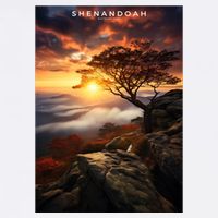 Shenandoah National Park Photographic Tall T-Shirt