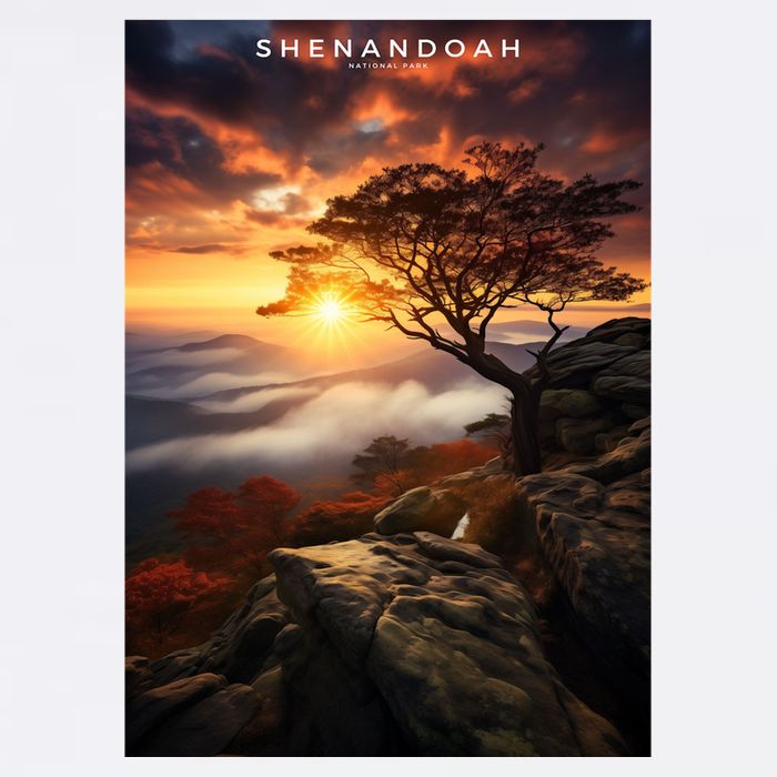 Shenandoah National Park Photographic Tall T-Shirt