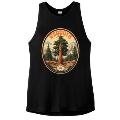 Sequoia National Park Tree Illustration Hiking Ladies PosiCharge Tri-Blend Wicking Tank