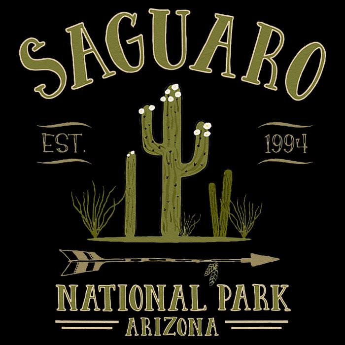 SAGUARO NATIONAL PARK ARIZONA Tourist Souvenir Gift Flatbill Hat