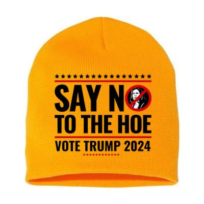 Say No To The Hoe Vote Trump 2024 Short Acrylic Beanie