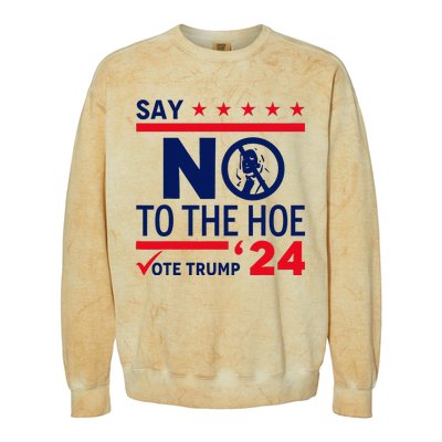 Say No The Hoe Vote Trump 2024 Colorblast Crewneck Sweatshirt